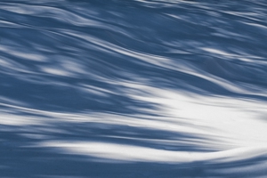 IMG_0112detail extract.jpg