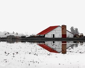 red roof 3some noise reduction.tif